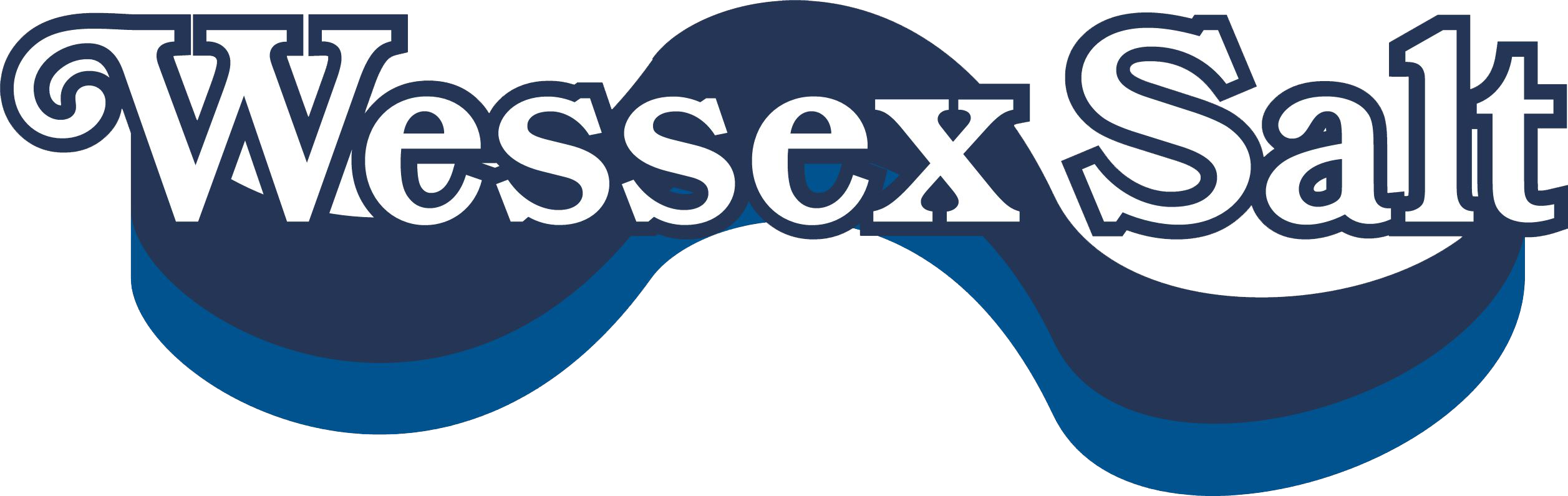 wessex salt official logo